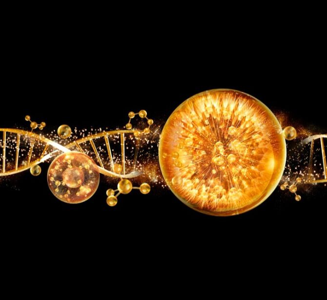 Гайд по аминокислотам, витаминам и витаминоподобным веществам в инъекционной практике косметолога