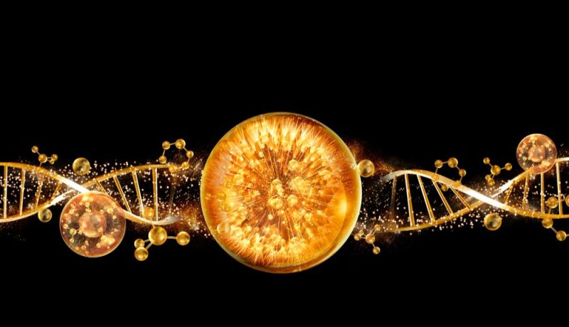 Гайд по аминокислотам, витаминам и витаминоподобным веществам в инъекционной практике косметолога