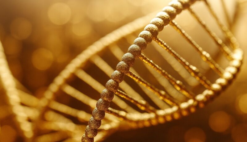 ВСЯ КОСМЕТОЛОГИЯ В ОДНОМ ПОРТФЕЛЕ