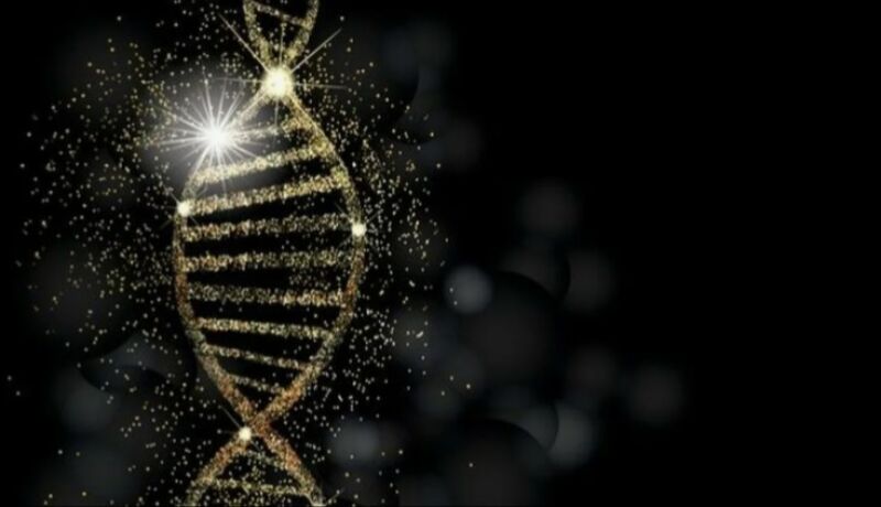 5й междисциплинарный семинар:Лишний вес, отеки и целлюлит в практике грамотного и успешного косметолога