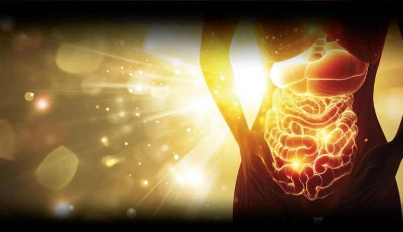 Здоровье желудочно - кишечного тракта как ключевой фактор системного здоровья