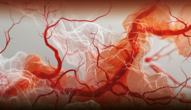 Здоровые сосуды = красивая кожа Гайд по эндотелиальным дисфункциям. Все ли мы знаем про эндотелиальные дисфункции.