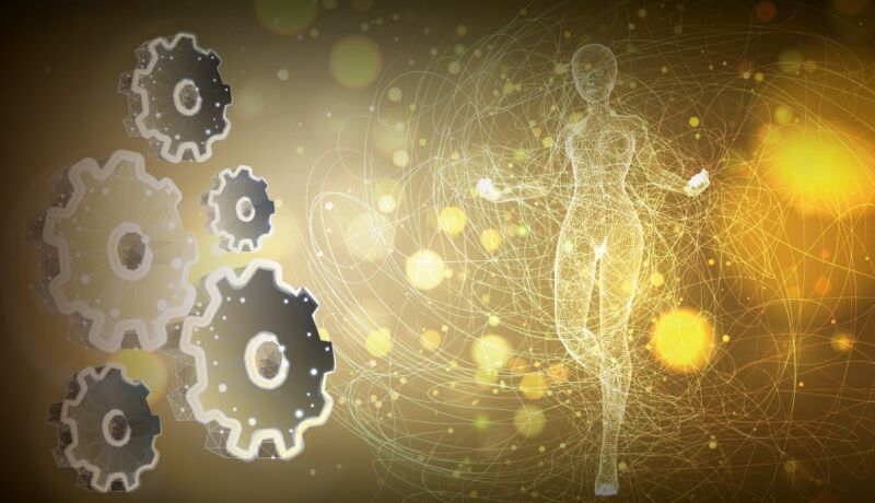 "Детоксикационные системы организма"; "Часто рецидивирующий герпес"